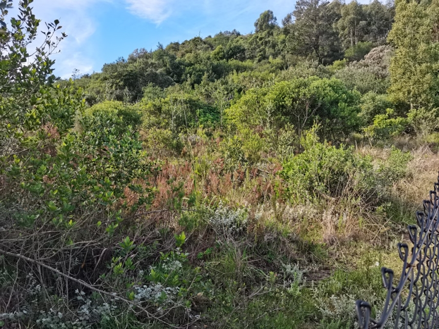 0 Bedroom Property for Sale in Simola Western Cape